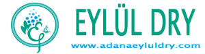 Adana Seyhan Çukurova Yüreğir Kuru Temizleme Eylül Dry
